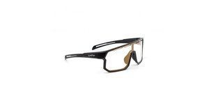 Окуляри LYNX Bismarck PH B, matt black, smoke photochromic with gold revo 2697991405 фото