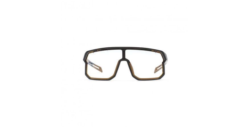 Окуляри LYNX Bismarck PH B, matt black, smoke photochromic with gold revo 2697991405 фото