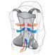Рюкзак DEUTER AC Lite 26, колір 2019 leaf (зразок) 2559069061 фото 2