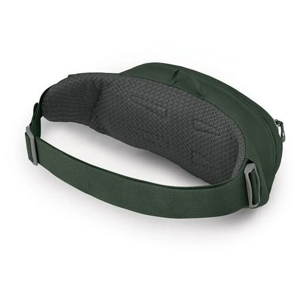 Поясна сумка Osprey Daylite Waist (green belt/green canopy - O/S - зелений) 2716265650 фото