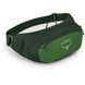 Поясна сумка Osprey Daylite Waist (green belt/green canopy - O/S - зелений) 2716265650 фото 1