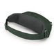 Поясна сумка Osprey Daylite Waist (green belt/green canopy - O/S - зелений) 2716265650 фото 3