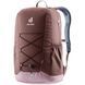 Рюкзак DEUTER Gogo 25L (6509 raisin-grape) 2323573169 фото 2