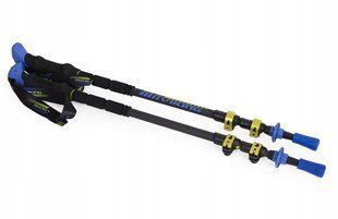 Палиці трекінгові Viking Carbo Lite Trekking (lime/blue) 2382745289 фото