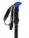 Палиці трекінгові Viking Carbo Lite Trekking (lime/blue) 2382745289 фото 3
