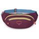 Поясна сумка Osprey Daylite Waist (moody burgundy - O/S - темно-бордовий) 2735651514 фото 2
