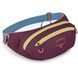 Поясна сумка Osprey Daylite Waist (moody burgundy - O/S - темно-бордовий) 2735651514 фото 1